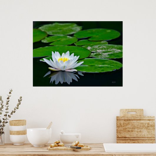 Lily Pads und Lotus Poster (Küche)