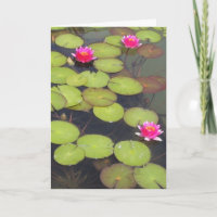 Lily Pads und Lotus Zen Geburtstagskarte
