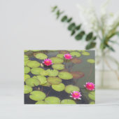 Lily Pads und Lotus Zen Postkarte (Stehend Vorderseite)