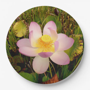 Lily Paper Plate Pappteller