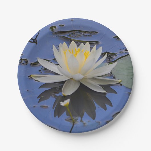 Lily Paper Plate Pappteller (Vorderseite)