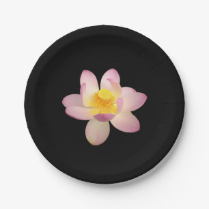 Lily Paper Plate Pappteller