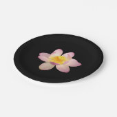 Lily Paper Plate Pappteller (Schrägansicht)