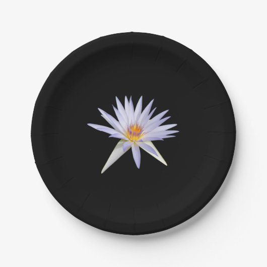 Lily Paper Plate Pappteller (Vorderseite)