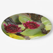 Lily Paper Plate Pappteller (Schrägansicht)