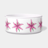Lily Pastel Pink Blume Lilies Lilly Garden
