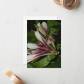 Lily Petals Mitteilungskarte (Vorderseite/Rückseite Beispiel)