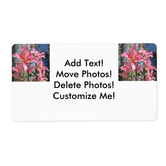 Lily Pflanze Outdoor Pink (Vorne)
