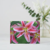 Lily Pink Stargazer Postkarte (Stehend Vorderseite)