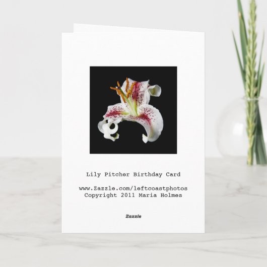 Lily Pitcher Birthday Card Karte (Rückseite)