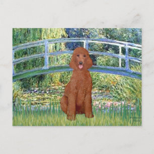 Lily Pond Bridge - Dunkelroter Standardpudel #1 Postkarte
