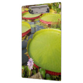 Lily Pond Clipboard Klemmbrett (Links)