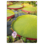 Lily Pond Clipboard Klemmbrett (Rückseite)