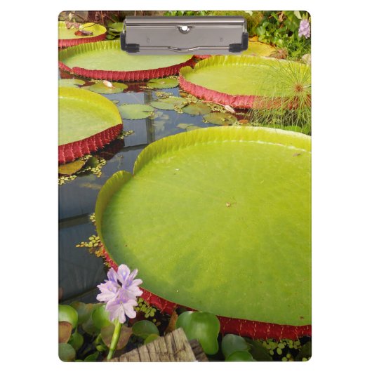 Lily Pond Clipboard Klemmbrett (Vorderseite)