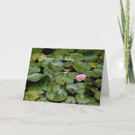 Lily Pond Geburtstagskarte Karte