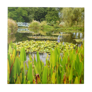 Lily Pond-Keramik Fliese