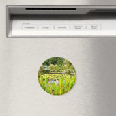 Lily Pond Magnet (In Situ (Geschirrspüler))