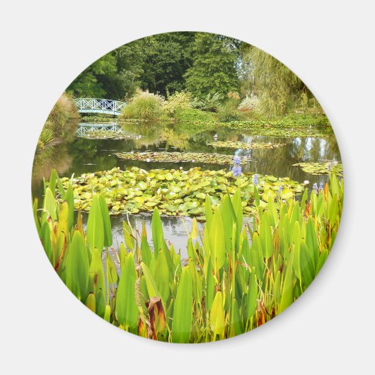Lily Pond Magnet (Vorne)