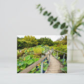 Lily Pond Postcard Postkarte (Stehend Vorderseite)