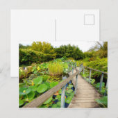 Lily Pond Postcard Postkarte (Vorne/Hinten)