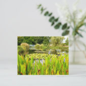 Lily Pond Postcard Postkarte (Stehend Vorderseite)