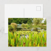 Lily Pond Postcard Postkarte (Vorne/Hinten)