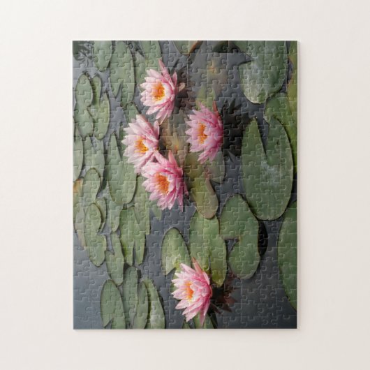 Lily Pond Puzzle (Vertikal)