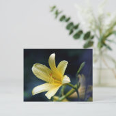 Lily Postcard Postkarte (Stehend Vorderseite)