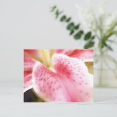 Lily Postcard Postkarte (Stehend Vorderseite)