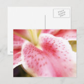Lily Postcard Postkarte (Vorne/Hinten)
