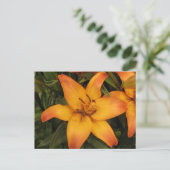 Lily Postcard Postkarte (Stehend Vorderseite)