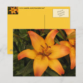 Lily Postcard Postkarte (Vorne/Hinten)