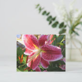 Lily Postcard Postkarte (Stehend Vorderseite)