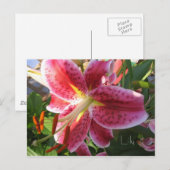 Lily Postcard Postkarte (Vorne/Hinten)