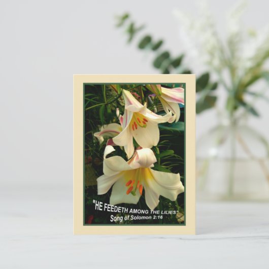 LILY Postcard Postkarte (Stehend Vorderseite)