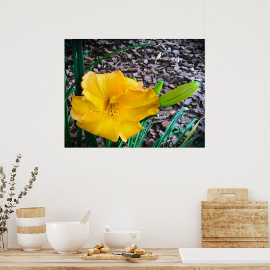 Lily, Poster (Küche)