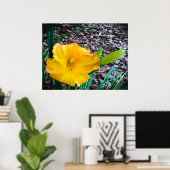 Lily, Poster (Heimbüro)