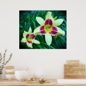 Lily, Poster (Küche)