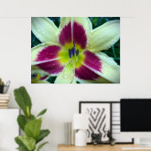 Lily, Poster (Heimbüro)