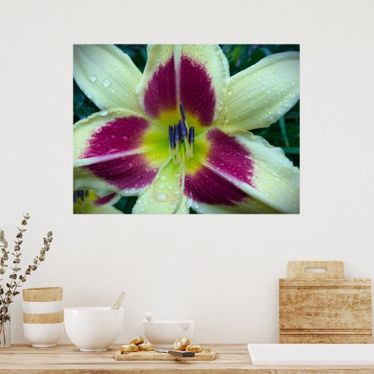 Lily, Poster (Küche)