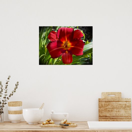 Lily, Poster (Küche)