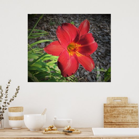 Lily, Poster (Küche)