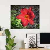 Lily, Poster (Heimbüro)