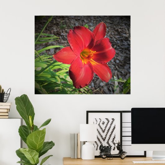 Lily, Poster (Heimbüro)