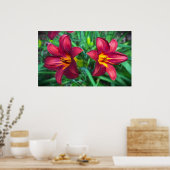 Lily, Poster (Küche)
