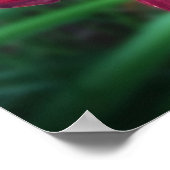 Lily, Poster (Ecke)