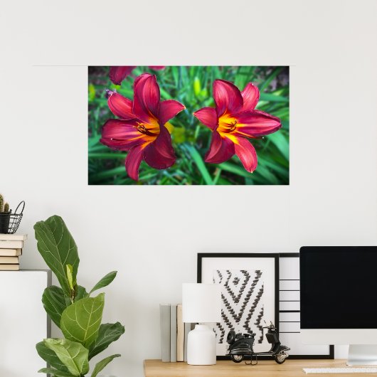 Lily, Poster (Heimbüro)