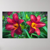Lily, Poster (Vorne)