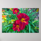 Lily, Poster (Vorne)