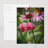 Lily postkarte (Vorne/Hinten)